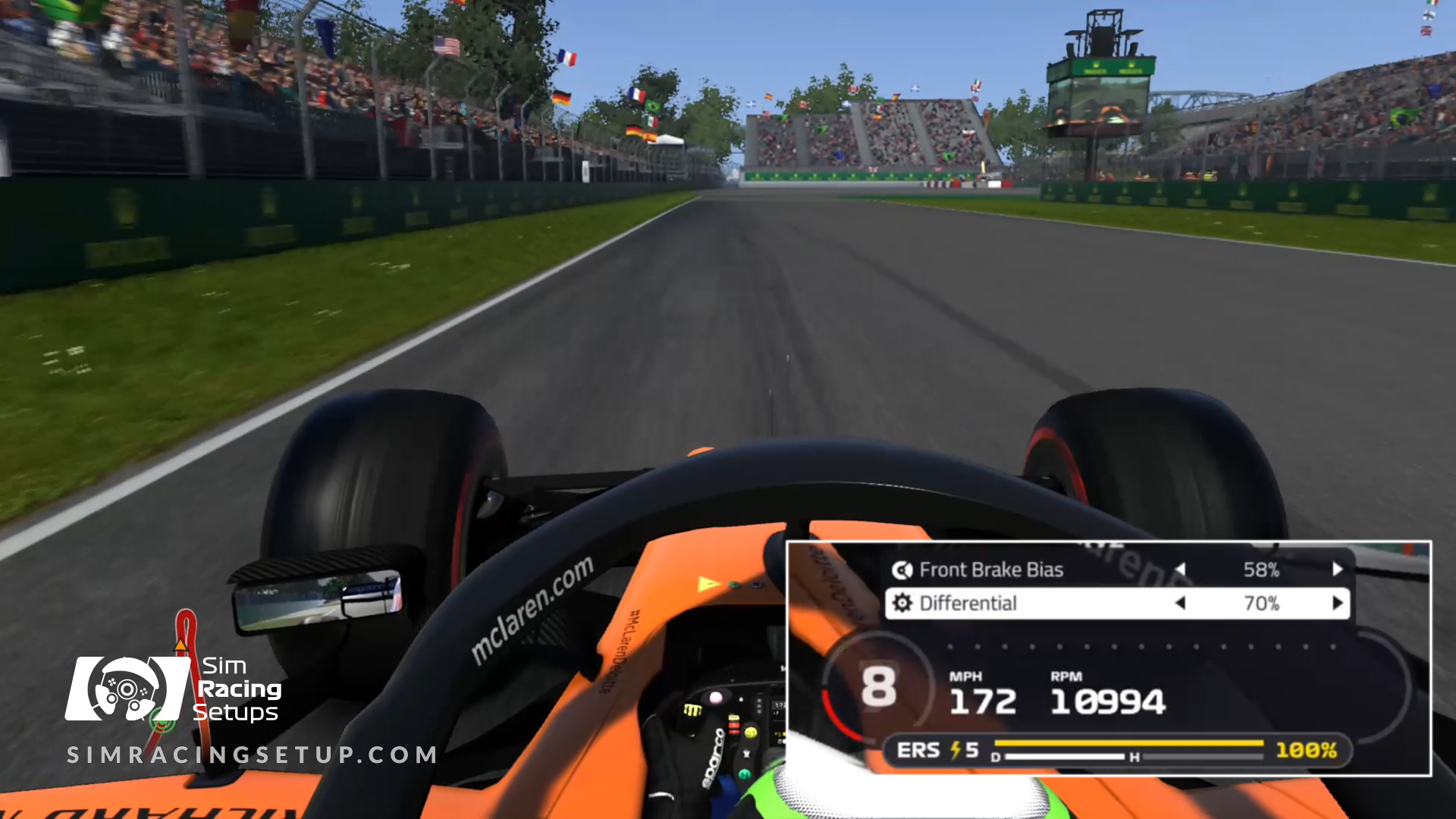 F1 2019 Differential Setup