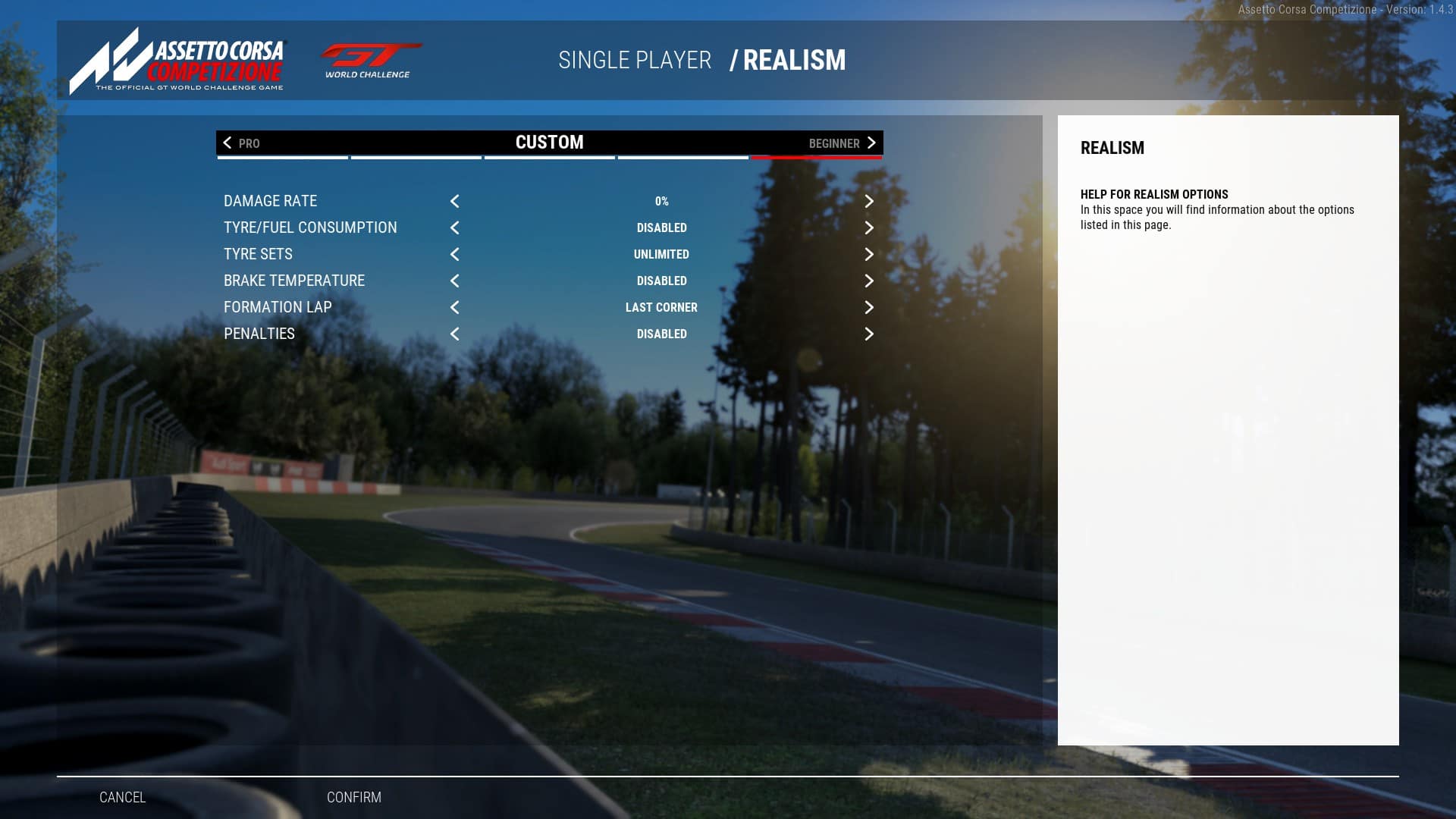 ACC Realism Settings