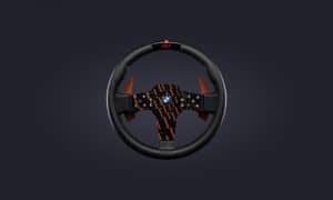 Fanatec CSL Steering Wheel BMW