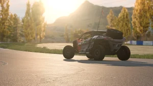 BeamNG.drive compatible racing wheels