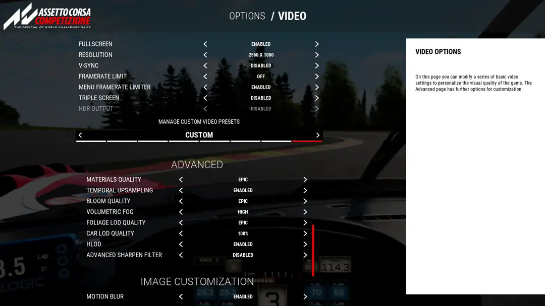 ACC Advanced graphics settings