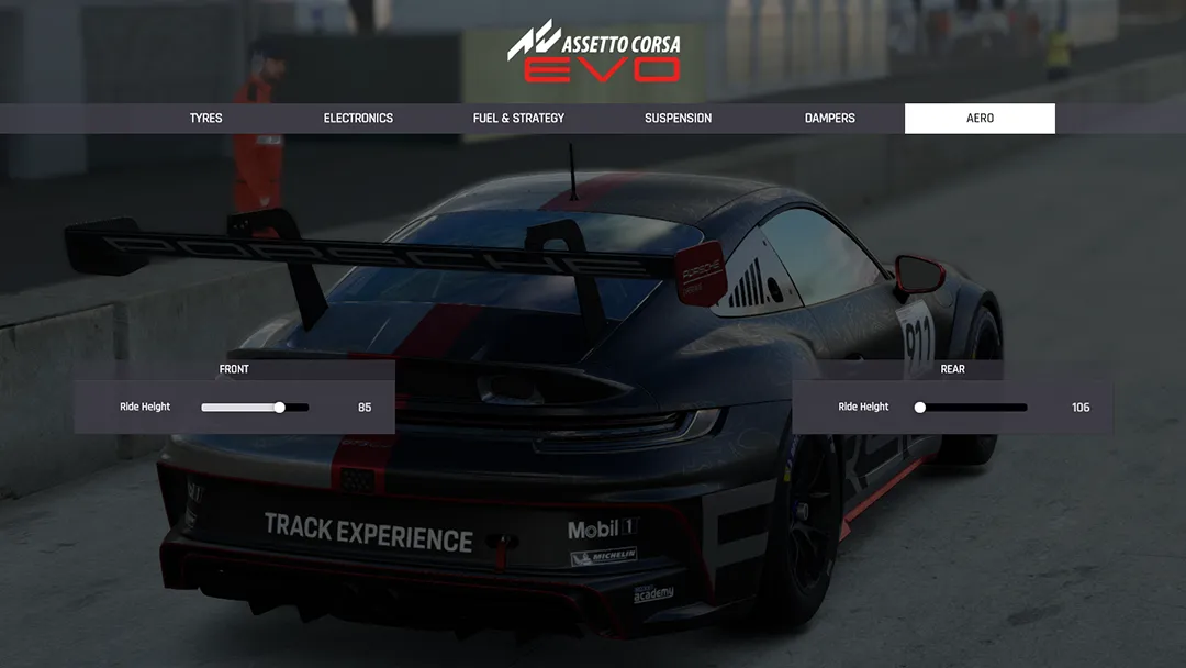 Assetto Corsa Evo Aero setup