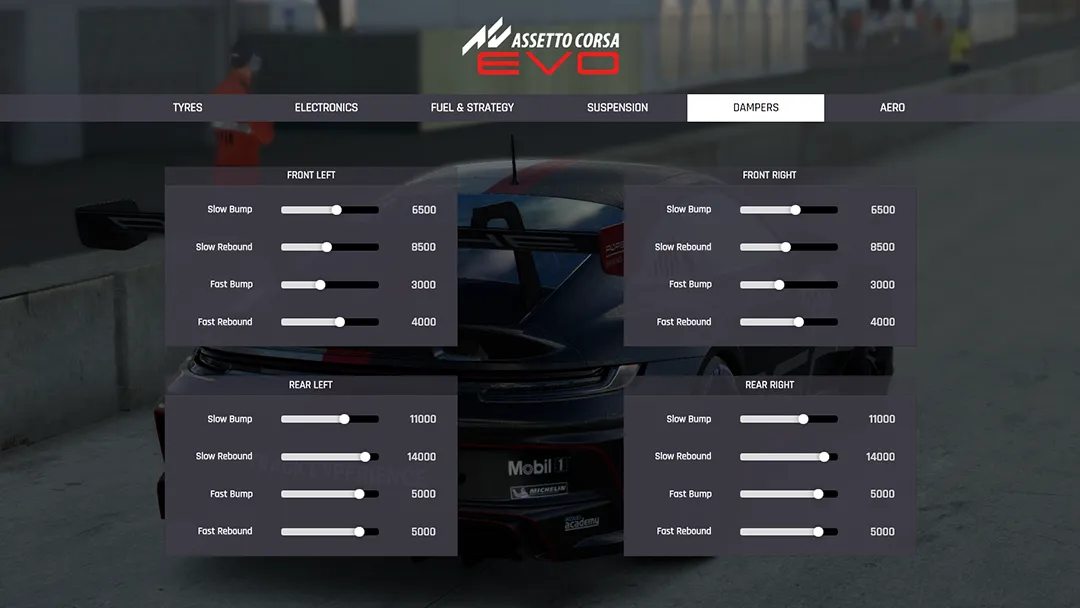 Assetto Corsa Evo Damper setup
